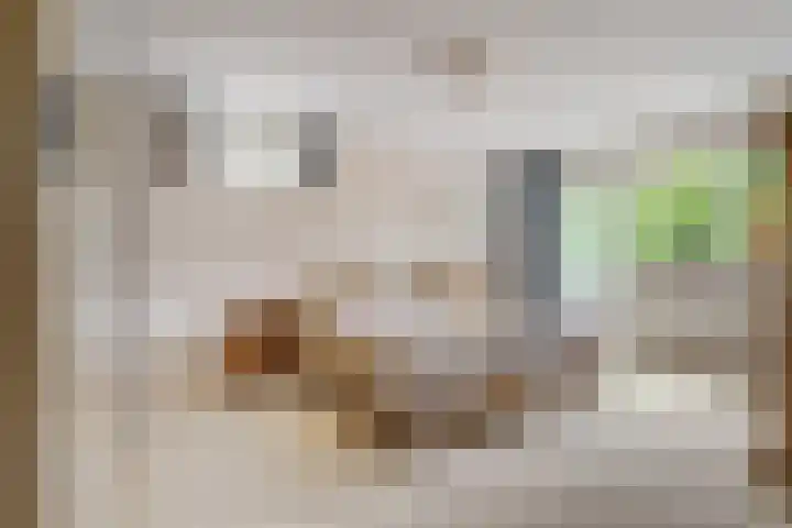 Lage Zijde 3 Bavel thumbnail 12