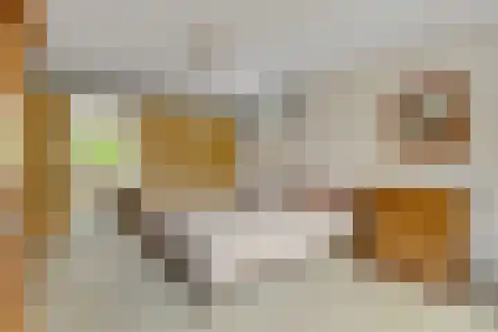 Lage Zijde 3 Bavel thumbnail 13