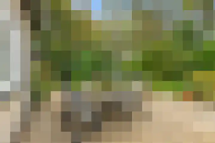 Lage Zijde 3 Bavel thumbnail 18