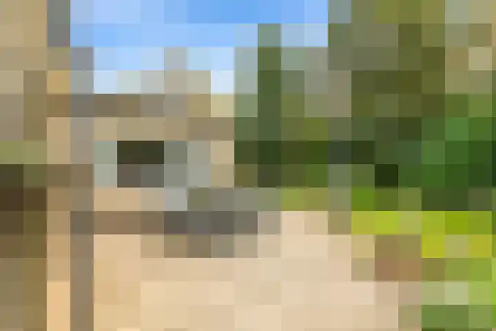 Lage Zijde 3 Bavel thumbnail 19