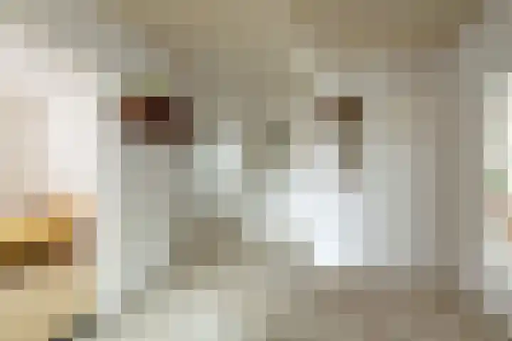 Lage Zijde 3 Bavel foto 2
