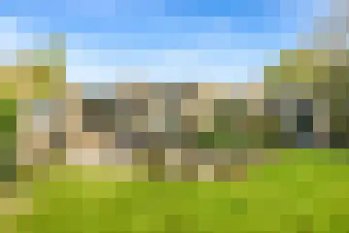 Lage Zijde 3 Bavel thumbnail 20