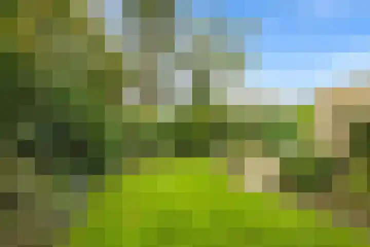 Lage Zijde 3 Bavel thumbnail 21