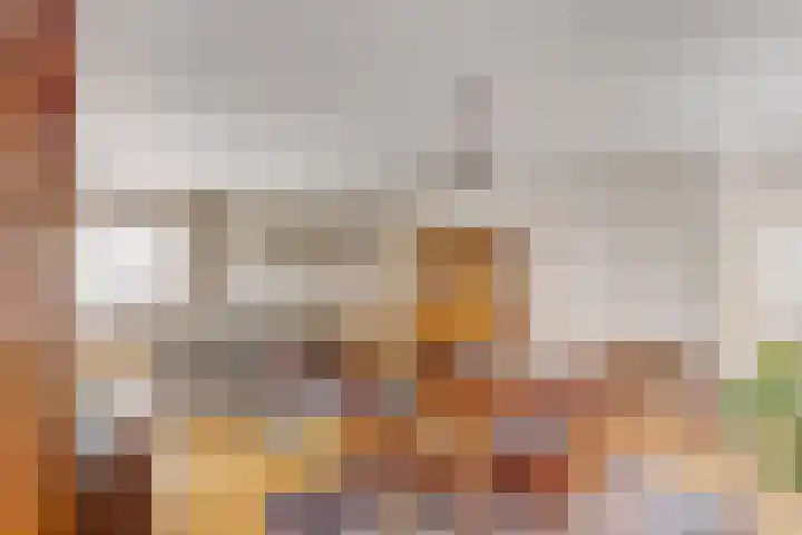 Lage Zijde 3 Bavel thumbnail 7