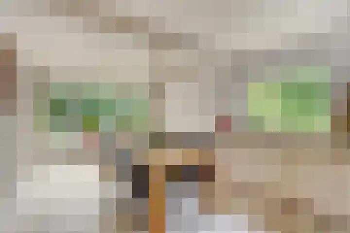Lage Zijde 3 Bavel thumbnail 8