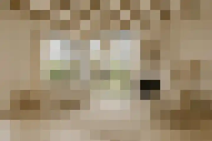 Lage Zijde 7 Bavel thumbnail 11