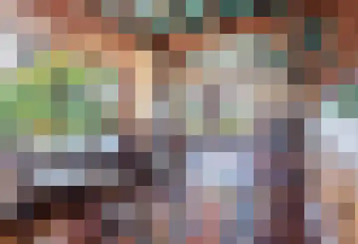 Lage Zijde 7 Bavel thumbnail 12