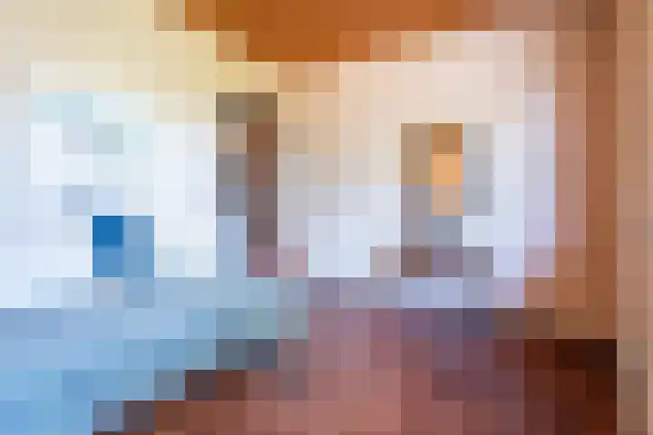 Lage Zijde 7 Bavel thumbnail 15