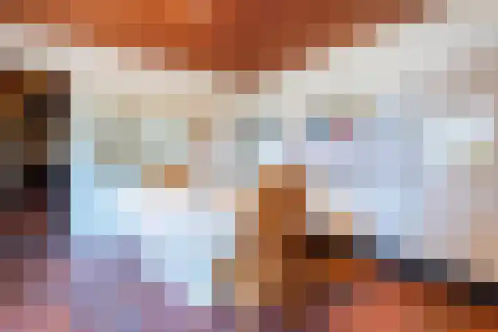 Lage Zijde 7 Bavel thumbnail 22