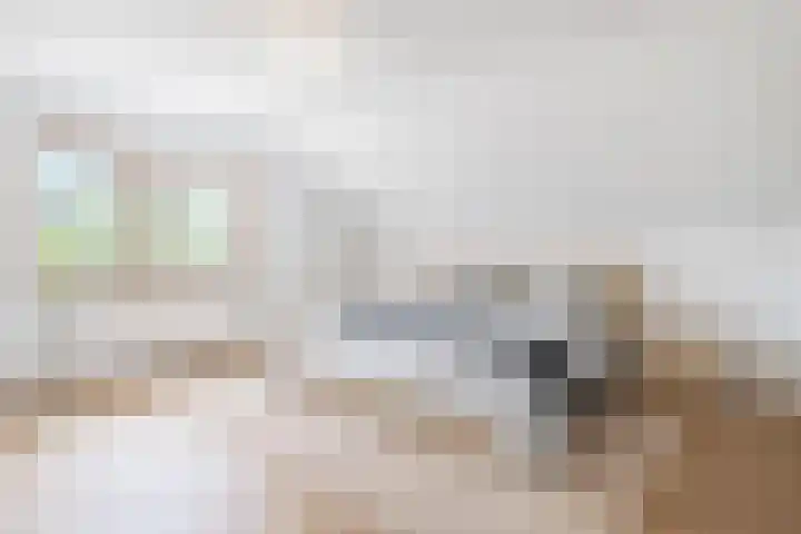 Lage Zijde 7 Bavel thumbnail 30