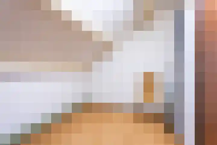 Lage Zijde 7 Bavel thumbnail 34