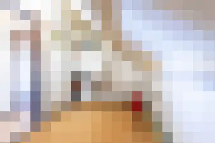 Lage Zijde 7 Bavel thumbnail 35