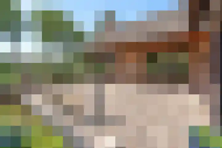 Lage Zijde 7 Bavel thumbnail 36
