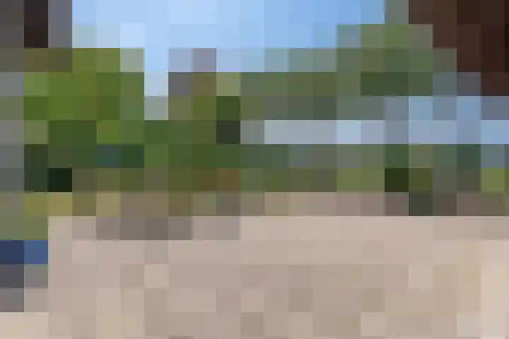 Lage Zijde 7 Bavel thumbnail 37