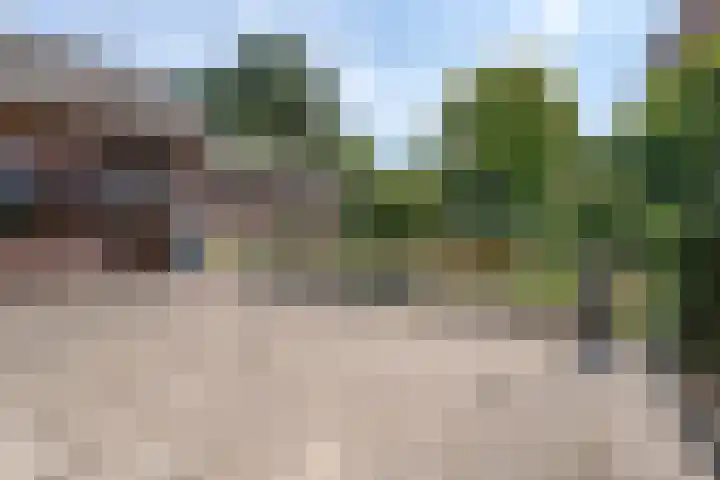 Lage Zijde 7 Bavel thumbnail 38