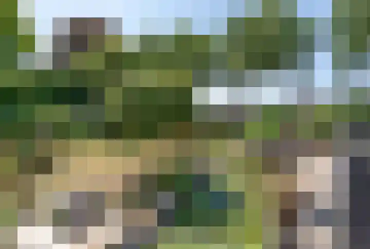 Lage Zijde 7 Bavel thumbnail 39