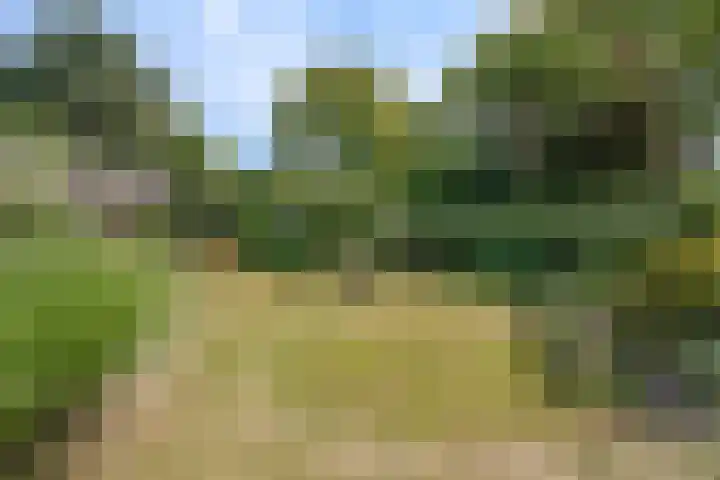 Lage Zijde 7 Bavel thumbnail 41