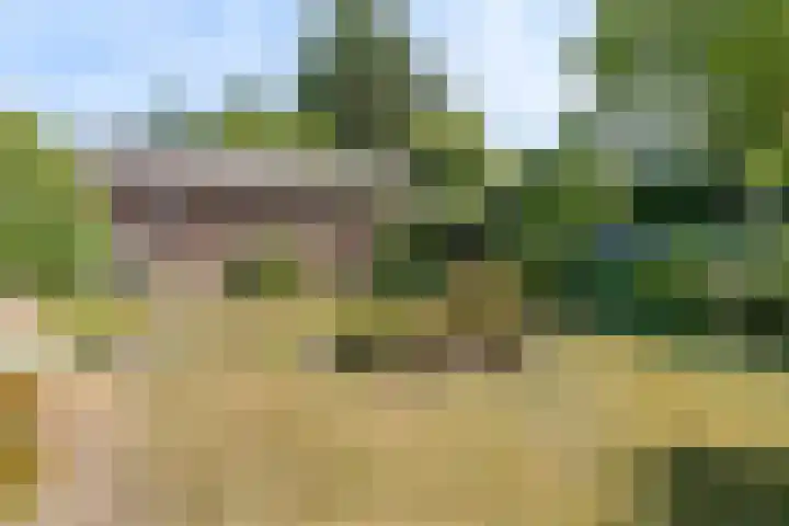 Lage Zijde 7 Bavel thumbnail 42