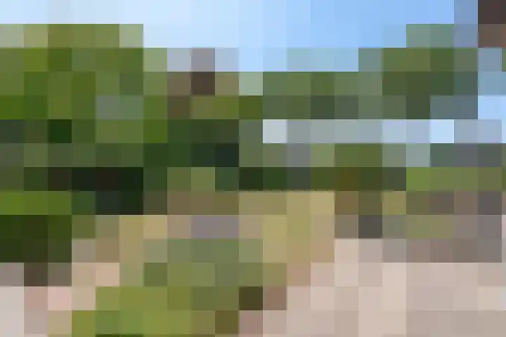 Lage Zijde 7 Bavel thumbnail 43