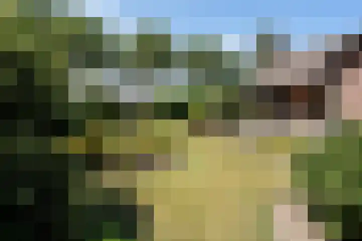 Lage Zijde 7 Bavel thumbnail 44