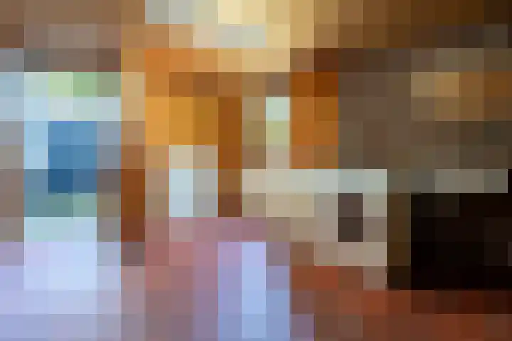 Lage Zijde 7 Bavel thumbnail 46