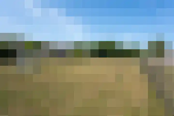 Lage Zijde 7 Bavel thumbnail 49
