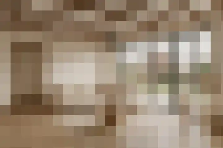 Lage Zijde 7 Bavel thumbnail 9