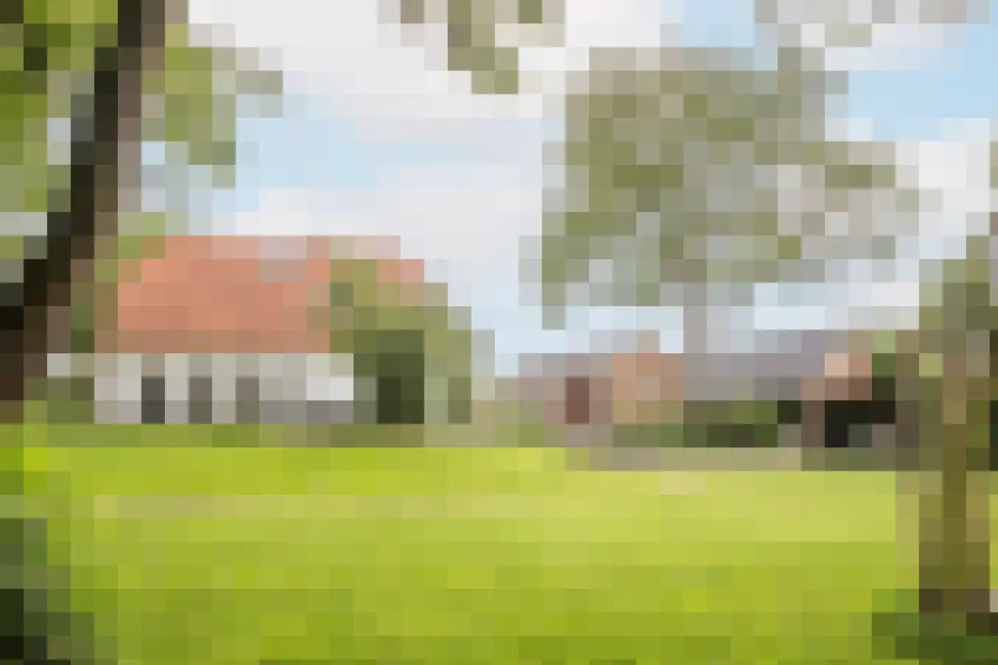 Lagecampseweg 4 Ochten thumbnail 100