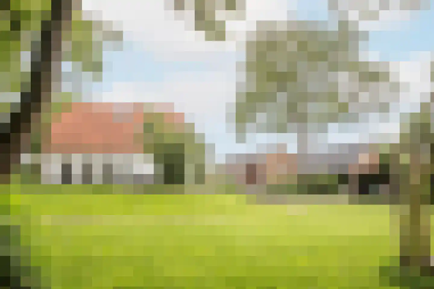Lagecampseweg 4 Ochten thumbnail 100