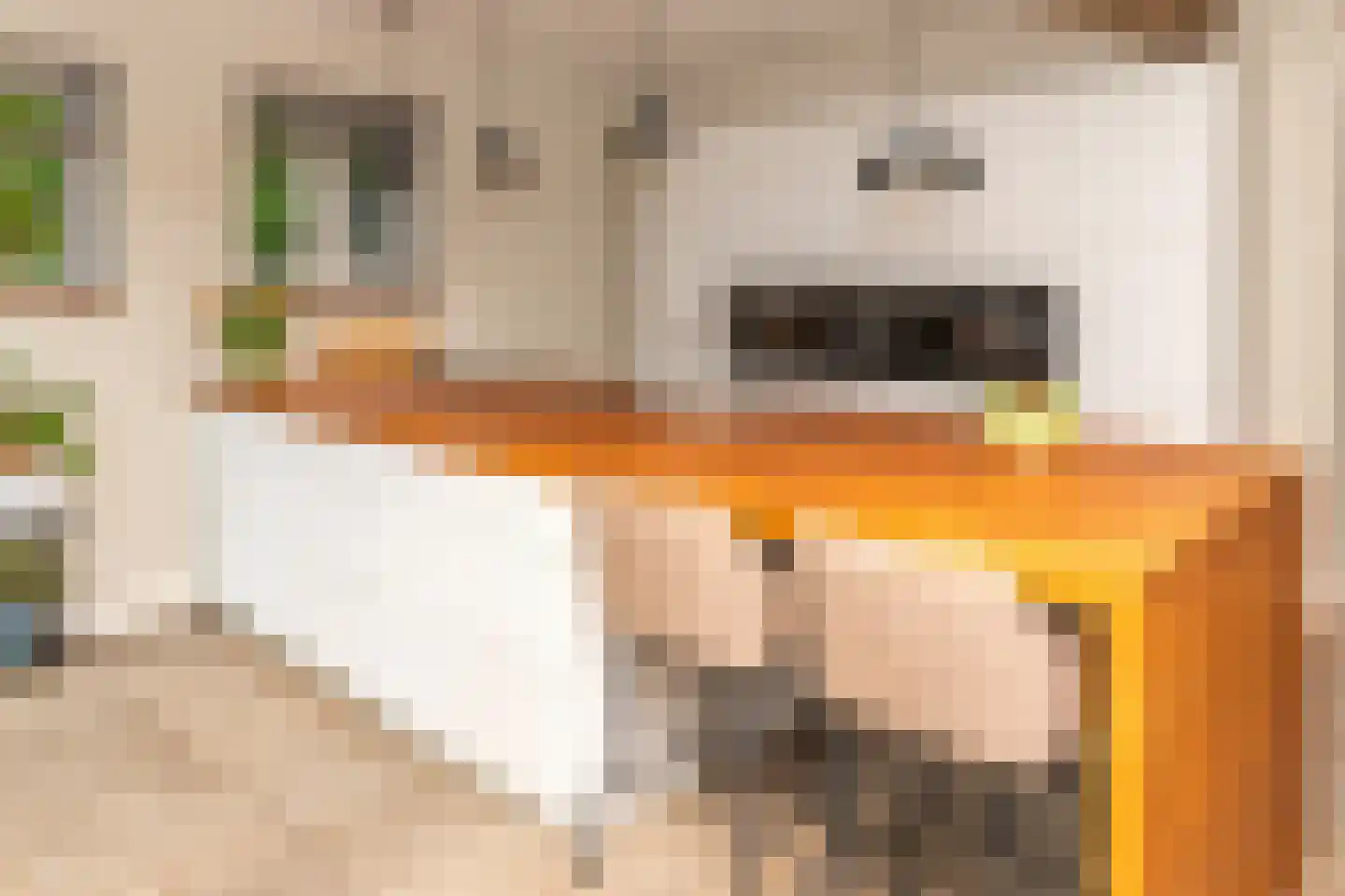 Lagecampseweg 4 Ochten thumbnail 12