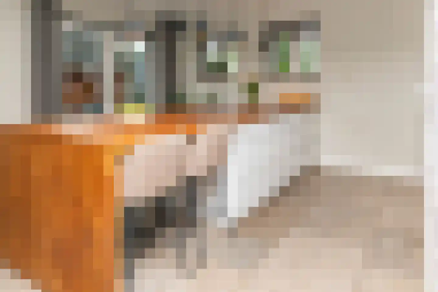 Lagecampseweg 4 Ochten thumbnail 15