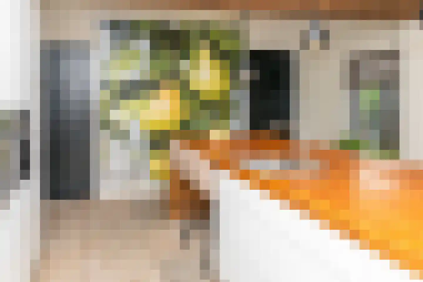Lagecampseweg 4 Ochten thumbnail 17