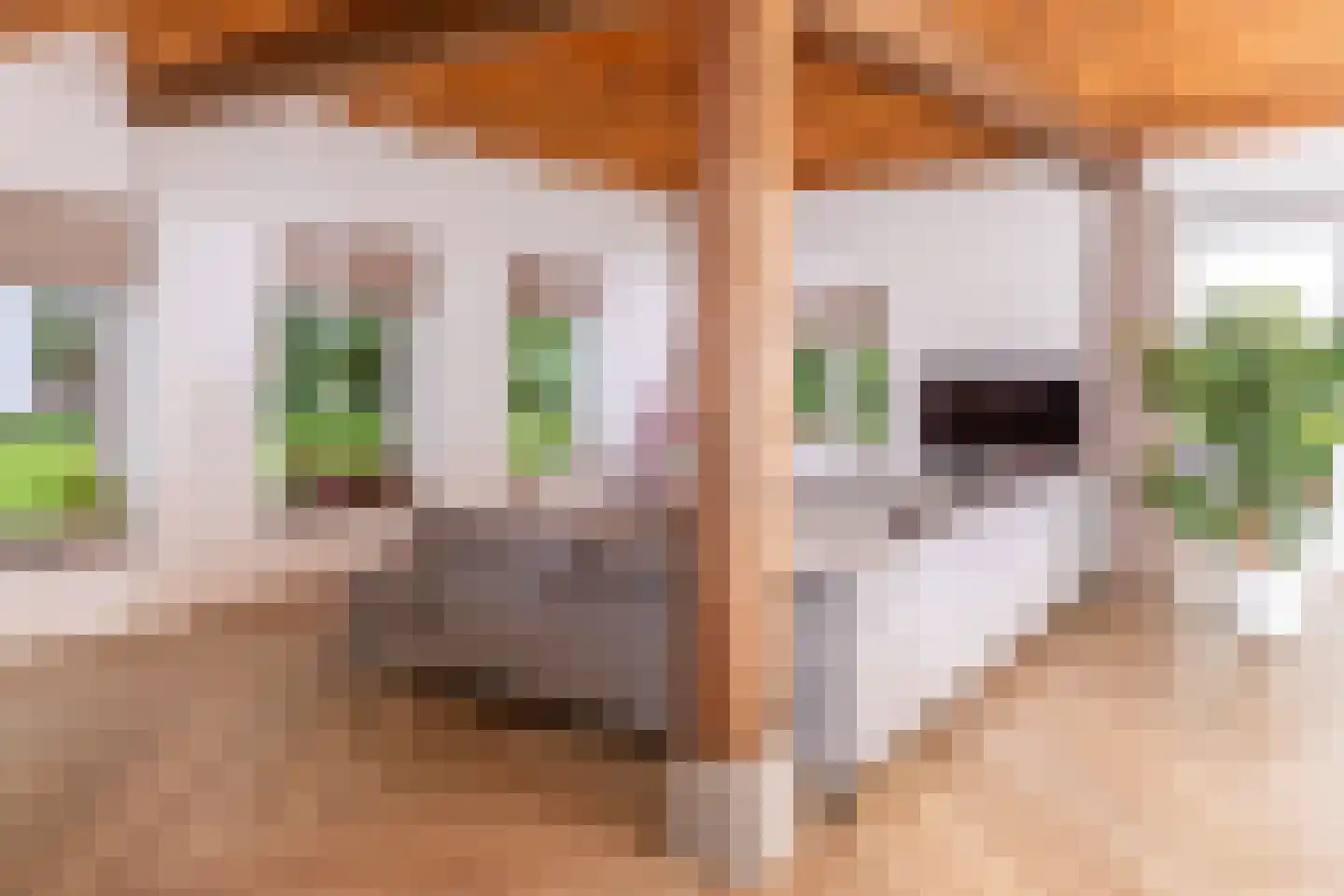 Lagecampseweg 4 Ochten thumbnail 21