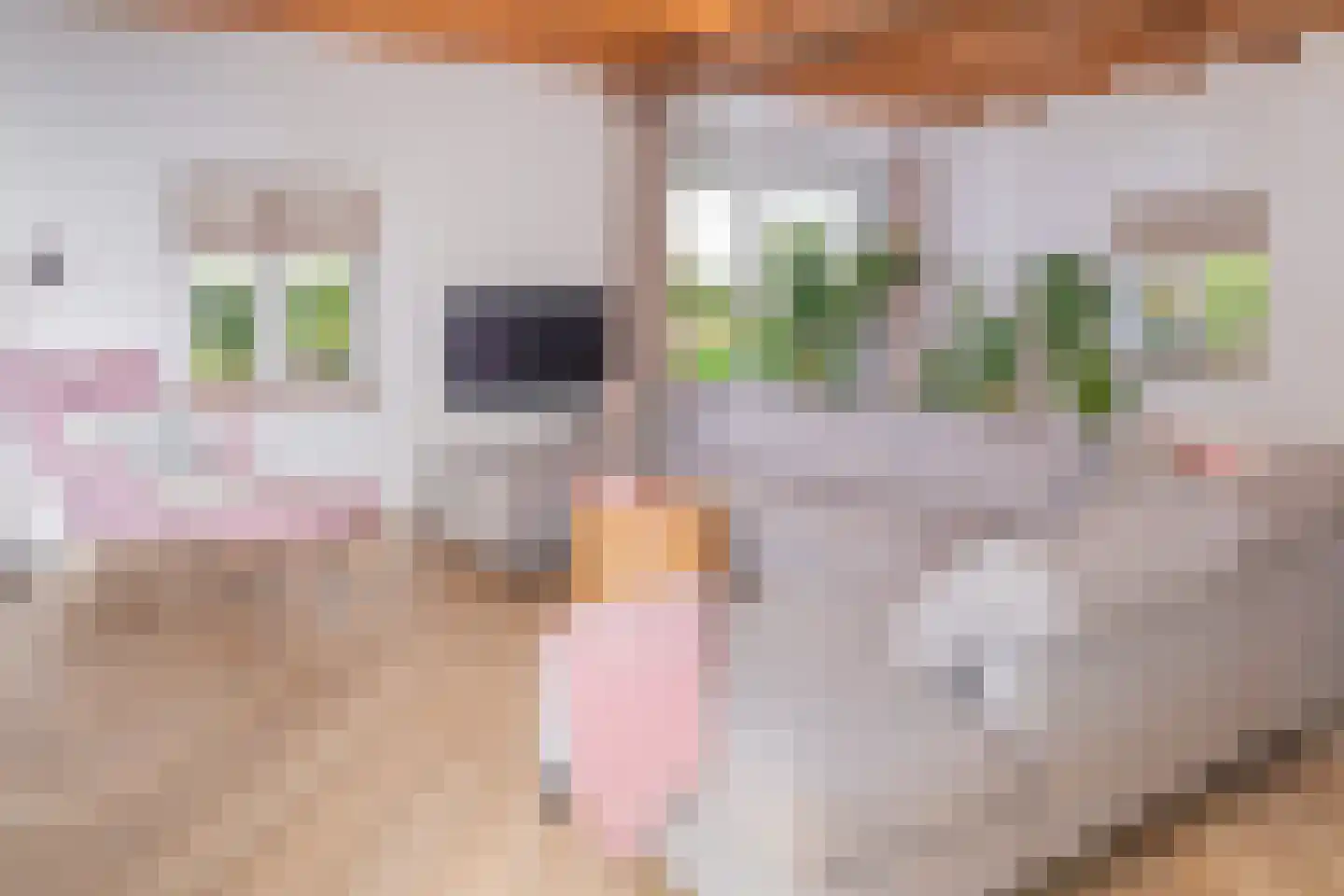Lagecampseweg 4 Ochten thumbnail 22