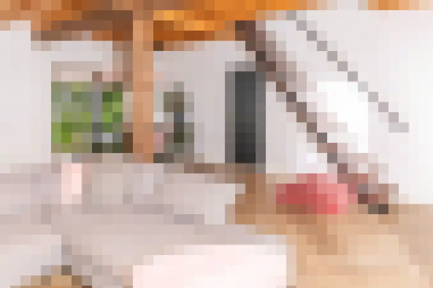 Lagecampseweg 4 Ochten thumbnail 23