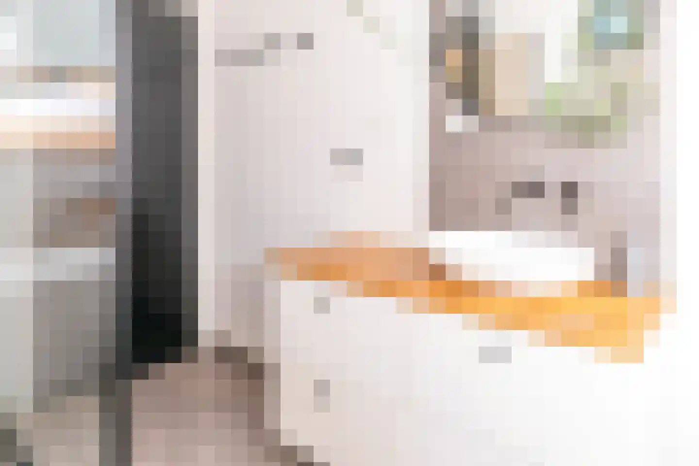 Lagecampseweg 4 Ochten thumbnail 41