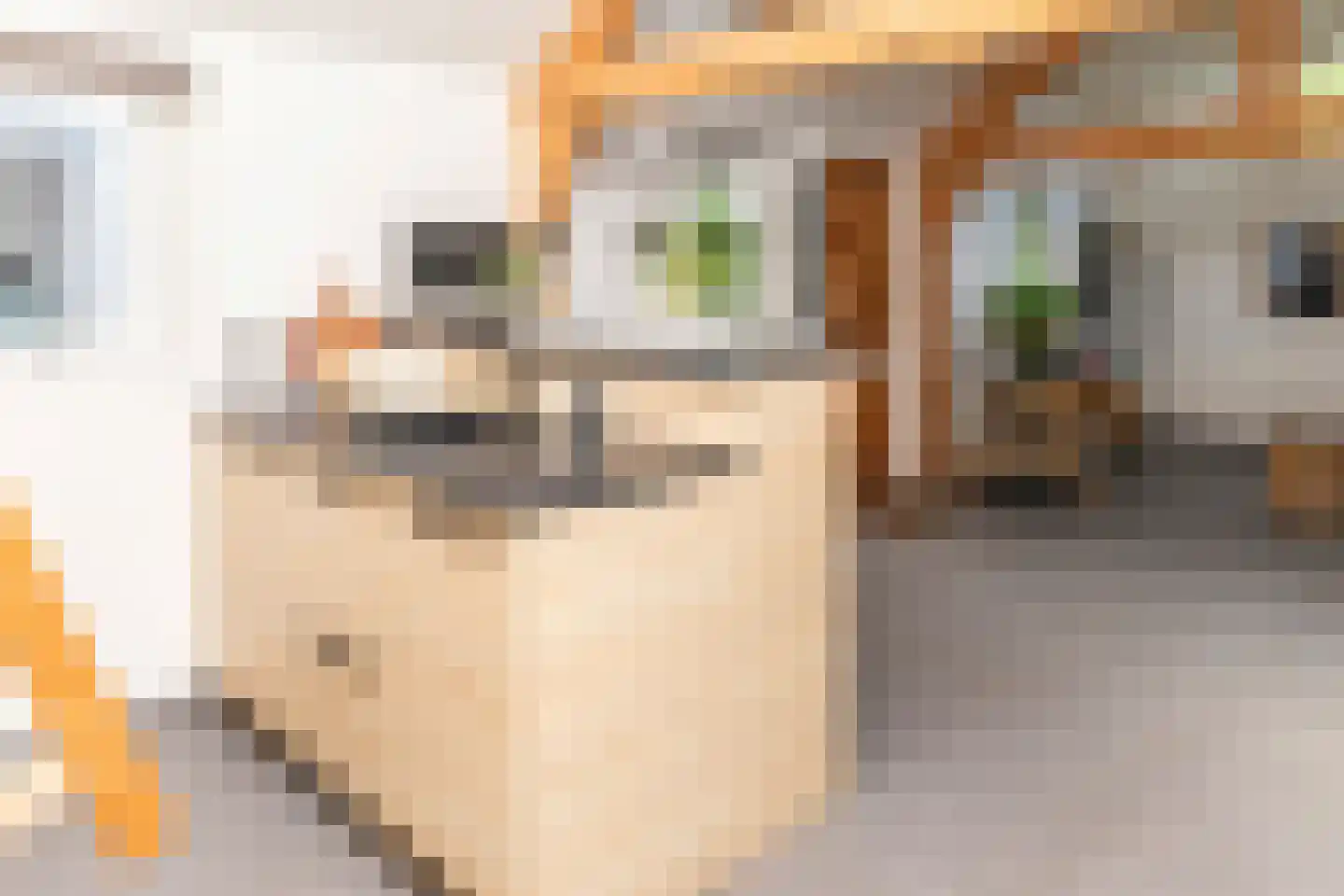 Lagecampseweg 4 Ochten thumbnail 48