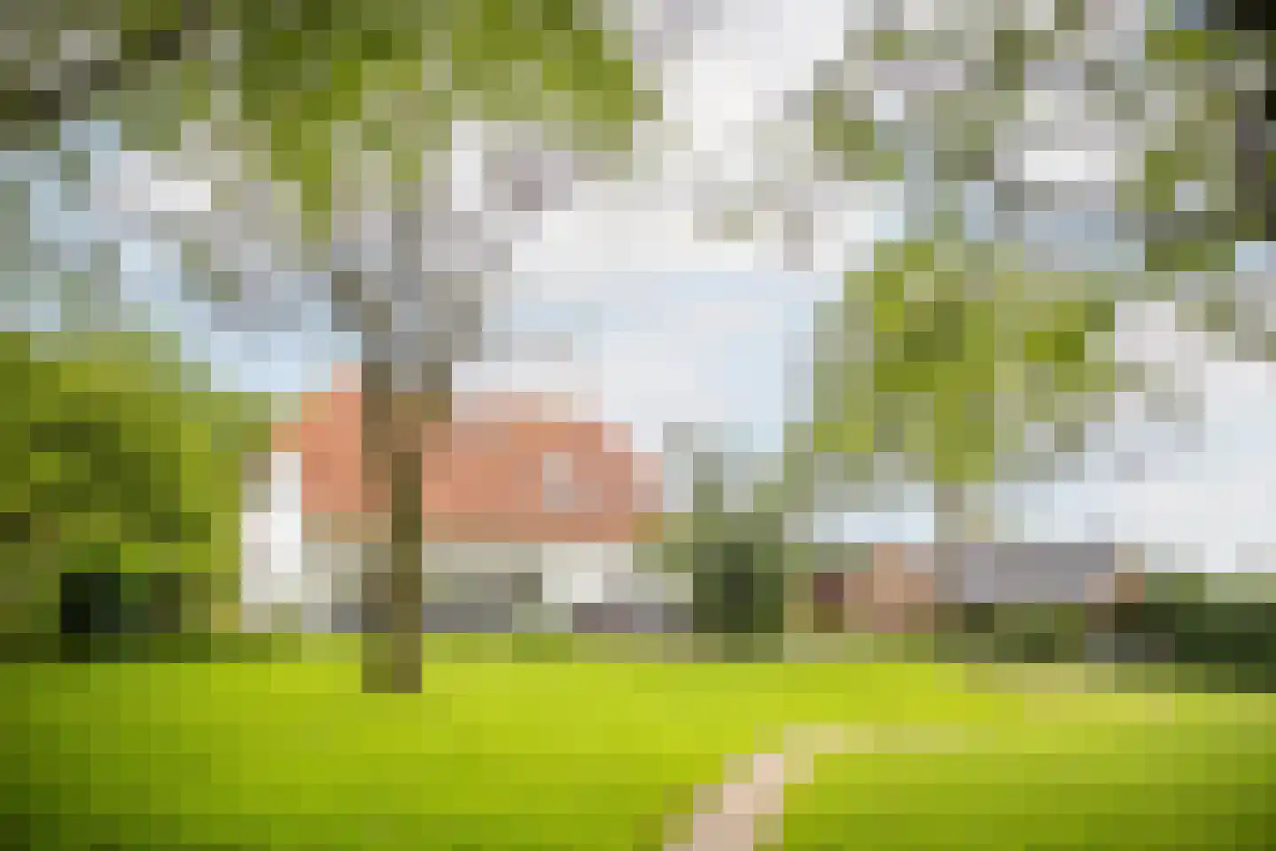 Lagecampseweg 4 Ochten thumbnail 5