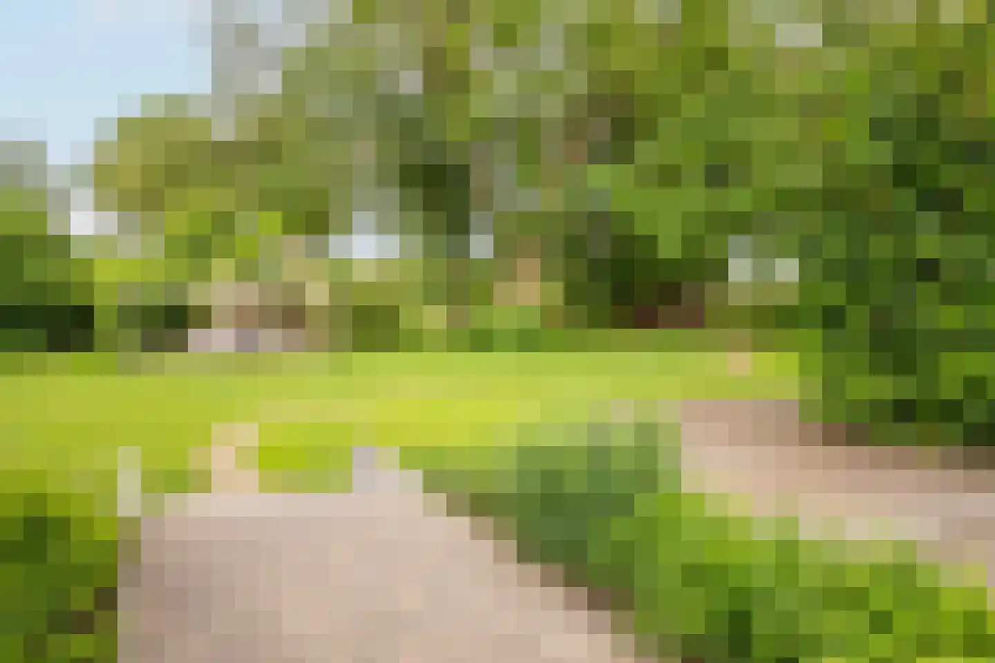 Lagecampseweg 4 Ochten thumbnail 56