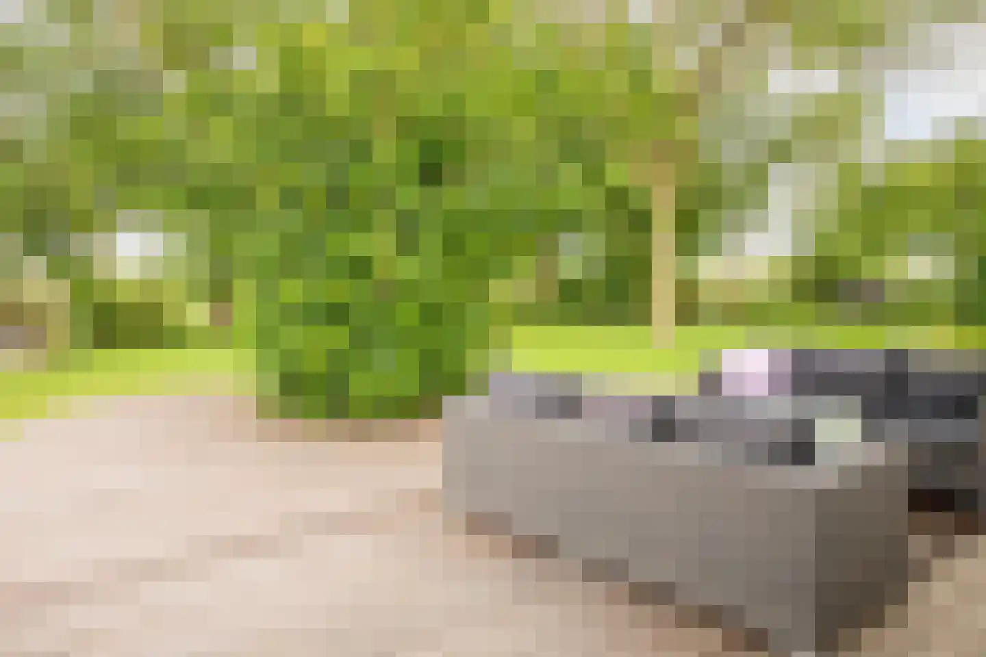 Lagecampseweg 4 Ochten thumbnail 57