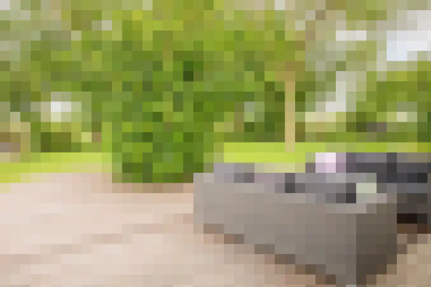 Lagecampseweg 4 Ochten thumbnail 57