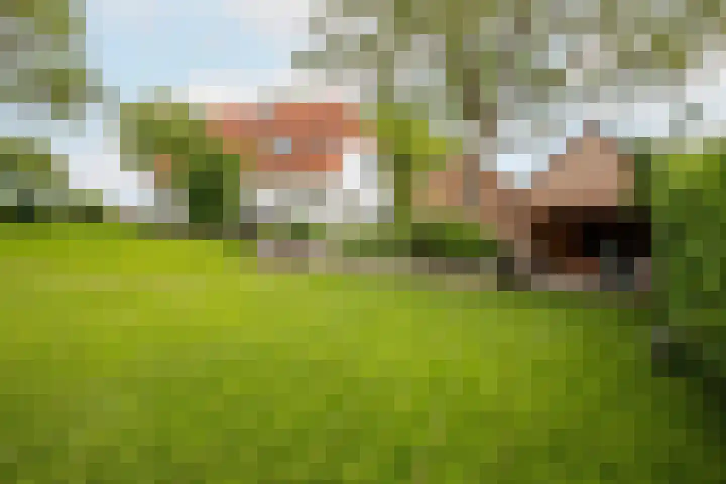 Lagecampseweg 4 Ochten thumbnail 58