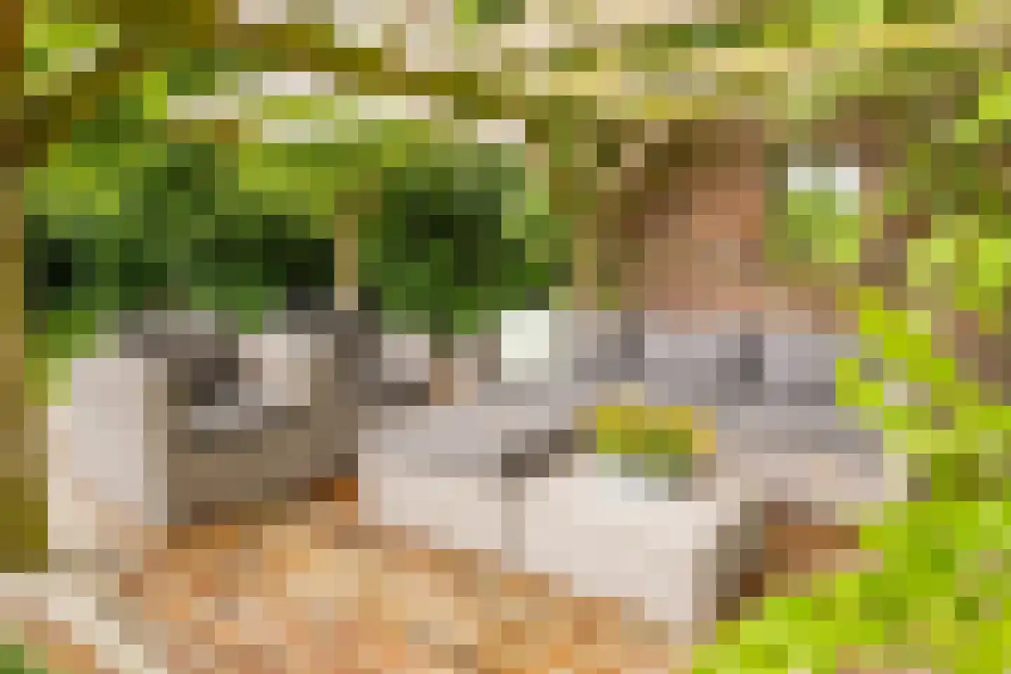 Lagecampseweg 4 Ochten thumbnail 59