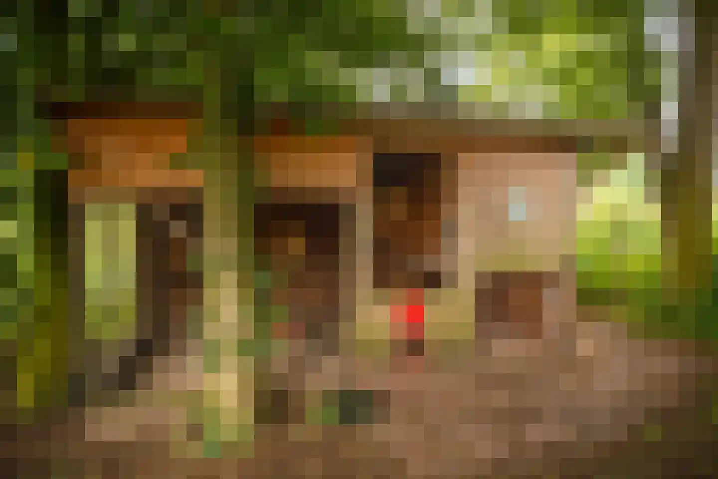 Lagecampseweg 4 Ochten thumbnail 61