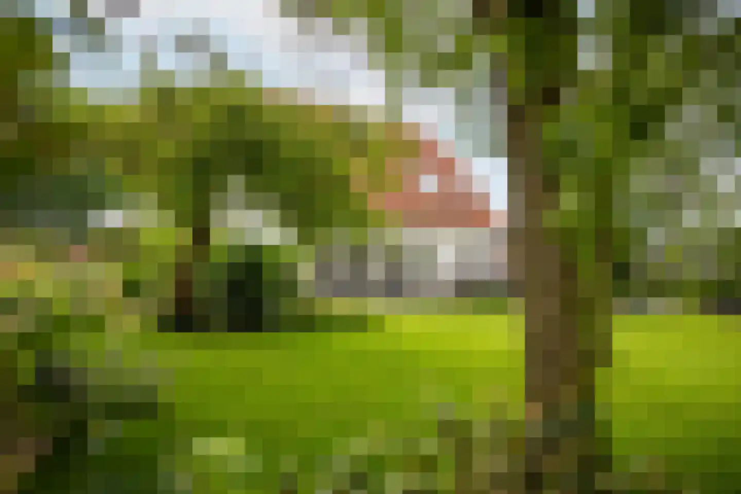 Lagecampseweg 4 Ochten thumbnail 62