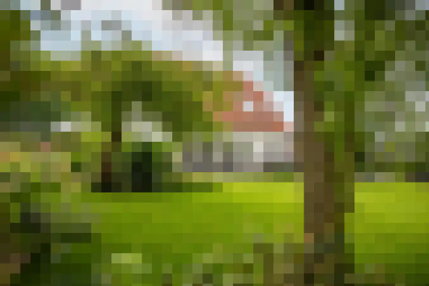 Lagecampseweg 4 Ochten thumbnail 62