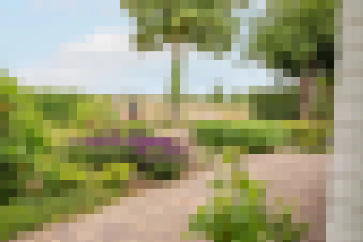 Lagecampseweg 4 Ochten thumbnail 69