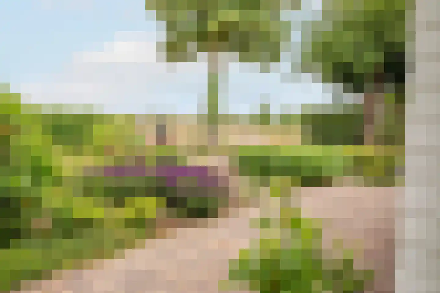 Lagecampseweg 4 Ochten thumbnail 69