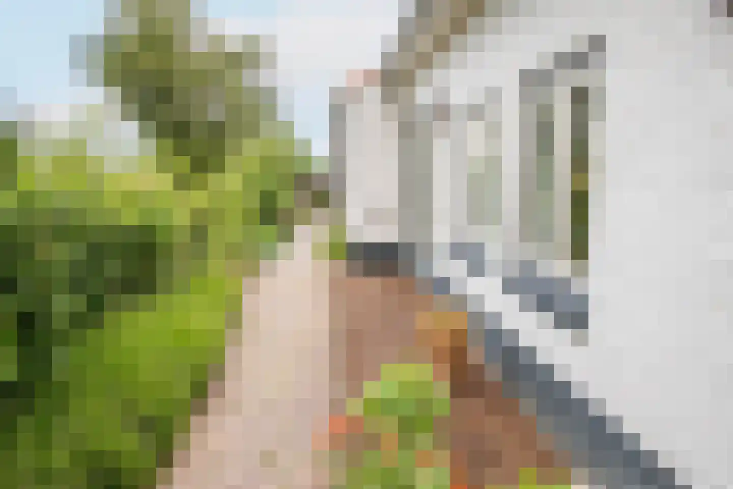 Lagecampseweg 4 Ochten thumbnail 71
