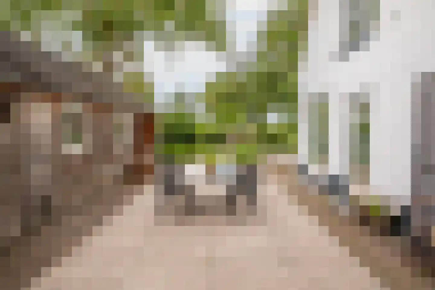 Lagecampseweg 4 Ochten thumbnail 72